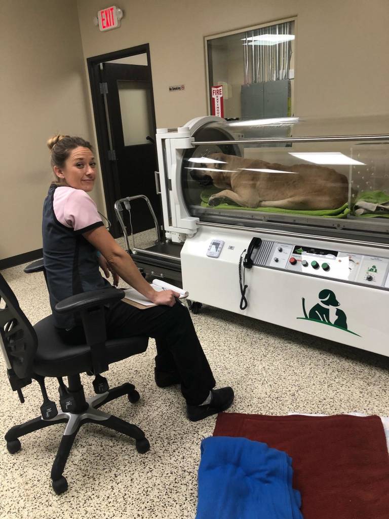Hyperbaric oxygen chamber helps pets suffering from smoke inhalation