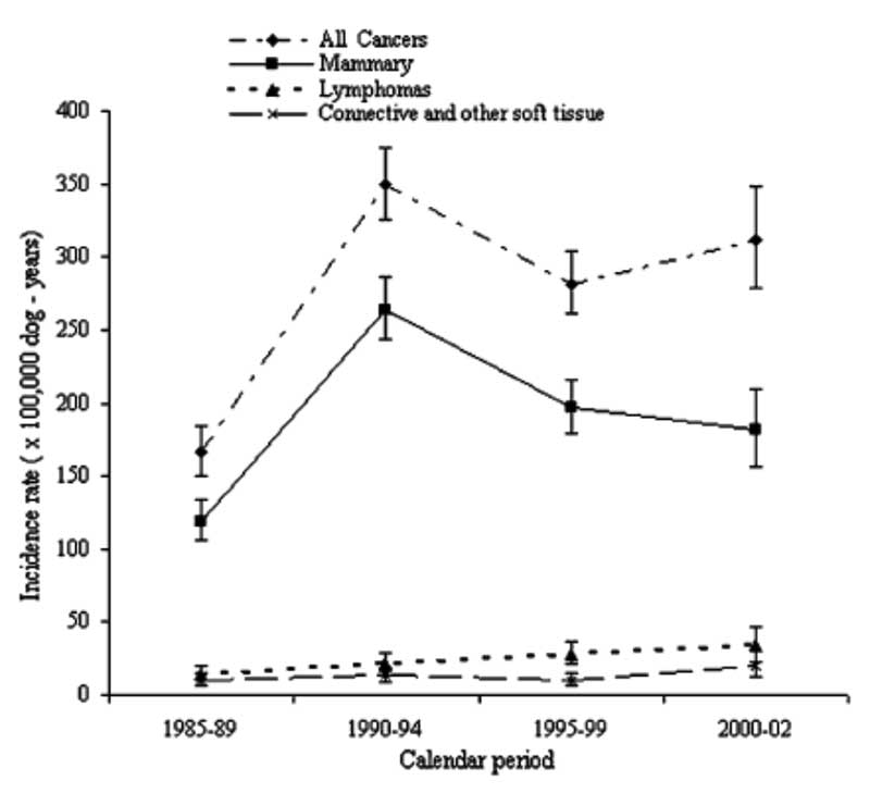Is cancer increasing in cats and dogs?