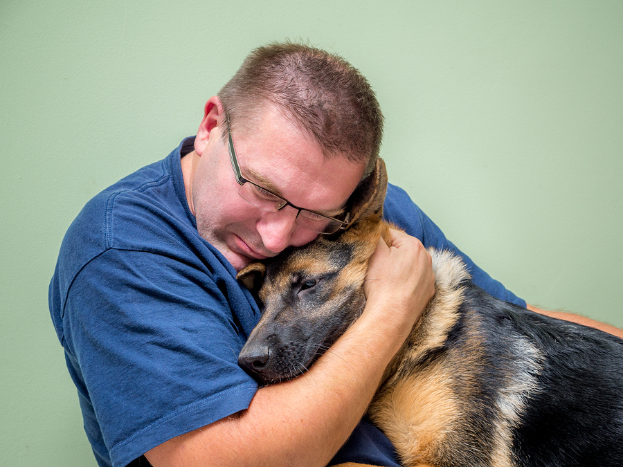 Petco Foundation donates $2.5 million to provide veterans with support dogs