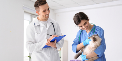AAHA supports veterinary nurse initiative to standardize profession