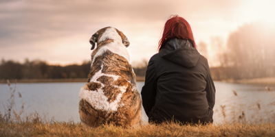 Initiative aims to help make affordable veterinary care available for all