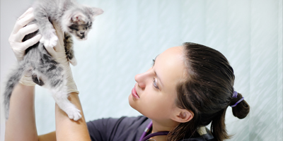 AVMF donates $20,000 to help veterinarians impacted by California wildfires
