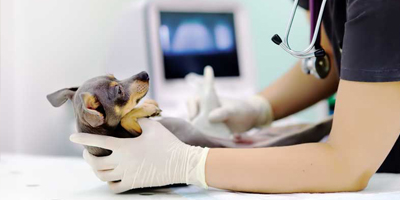 What is screening and is it beneficial?