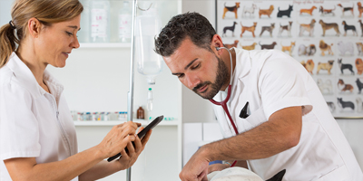 AVMA seeks public participation in accreditation review