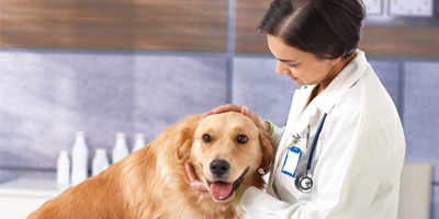 Deworming debate