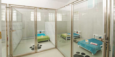How kennel design can help boost clinic revenue