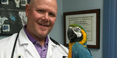 New Jersey veterinarian recertified as ABVP diplomate