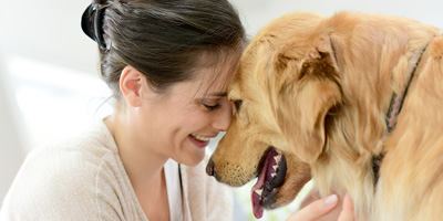 Pets in low-income households at risk of not receiving veterinary care