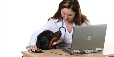 Online pet nutrition calculator updated