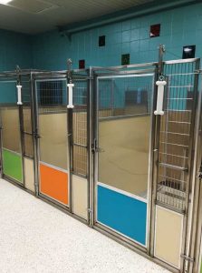 dog boarding designs