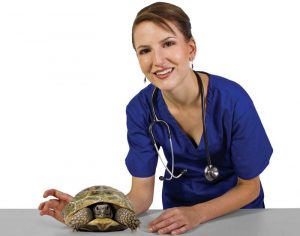 Photo courtesy ©BigStockPhoto.com