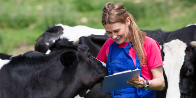FDA reports decline in antimicrobial sales for food-producing animals