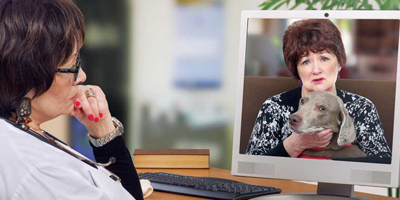 The dilemmas associated with televeterinary practice