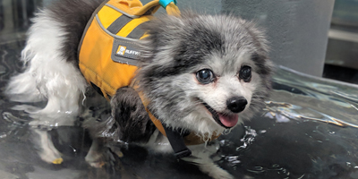 California clinic embraces hydrotherapy with third water treadmill