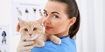 AVMA LIFE Trust to return in 2019