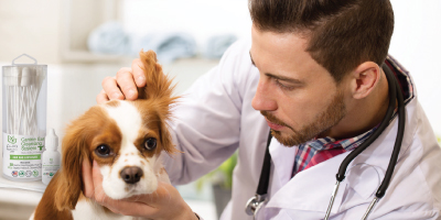 Tufts receives donation to support holistic healing treatments