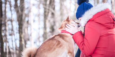 AVMA offers cold weather safety advice for pets