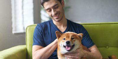 Financial assistance for pet care now available across U.S.