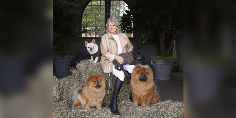 Martha Stewart to enter animal CBD market with new partnership