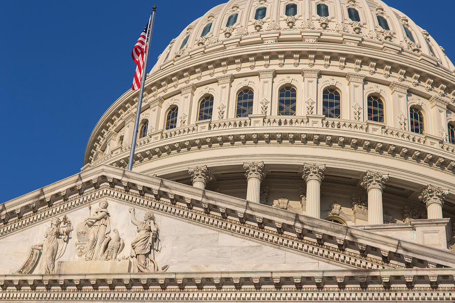New federal animal cruelty law introduced