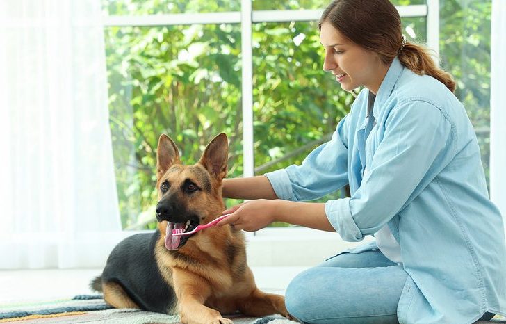 Bad breath could be a sign of disease