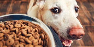 Is there a gold-standard test for adverse food reactions?