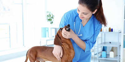 How to improve client compliance for dental procedures