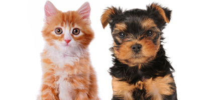 Trupanion expands coverage to offer pet enrollment at birth