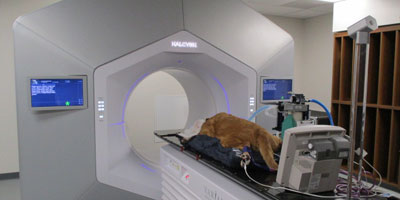 Gulf Coast Veterinary Specialists opens new hospital following Hurricane Harvey