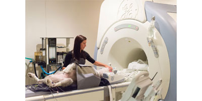 CT or MRI? When to use each and why