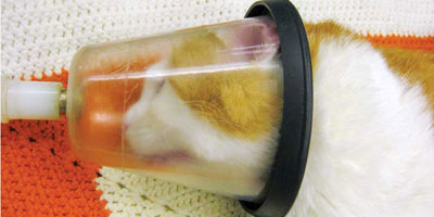 Seven options to provide life-saving oxygen