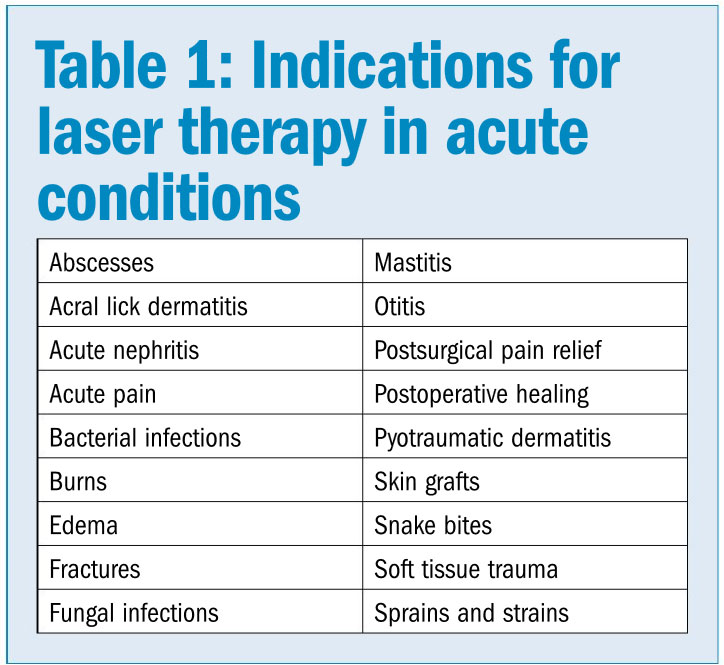 class 5 laser therapy