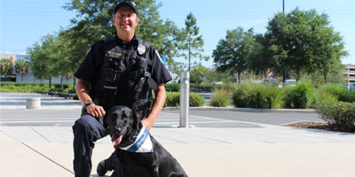 UF Small Animal Hospital to provide free eye and heart screening to service animals