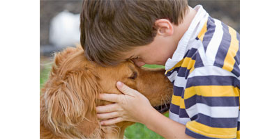 Banfield Foundation commits $1 million to keep pets and domestic abuse victims together