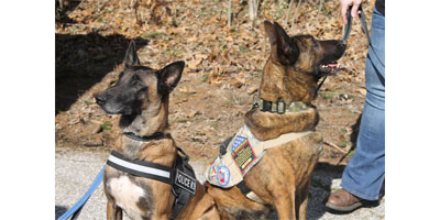 Pennsylvania clinic to host second K9 Veterans Day event