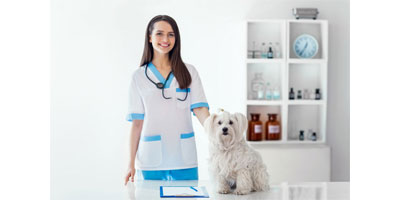 2019 World Veterinary Day highlights the value of vaccines
