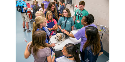 Royal Canin inspires future veterinarians with contest