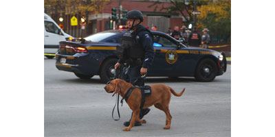 Zoetis’s K-9 Courage Program honors retired veteran dogs
