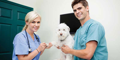 How nurses can grow your revenue