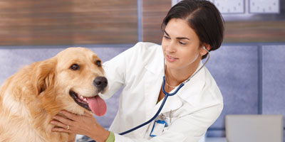Trust, education can build vaccine compliance