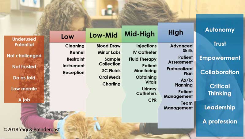 Proheart 12 Dosing Chart