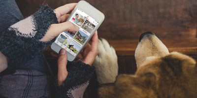 BabelBark named AAHA’s exclusive pet care software provider