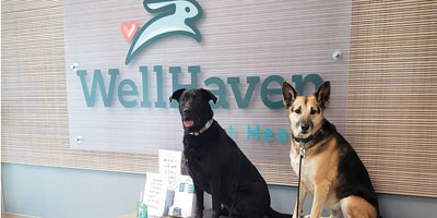 Fear Free Certified Archives Veterinary Practice News