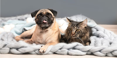 Southwest Washington humane society launches $10-million fundraising campaign