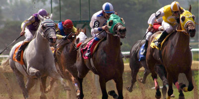 UF studies anesthetic with potential for misuse in racehorses