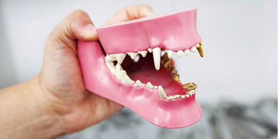 Dentistry—A discipline in need of change