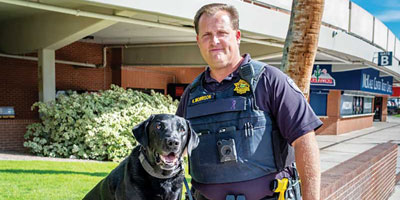 What makes a good working dog?