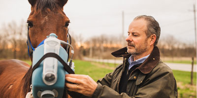 Equine asthma treatment study underway