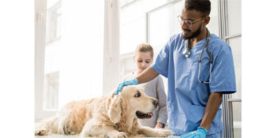 ASU begins clinical study for cancer-preventing vaccine