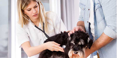 Understanding congestive heart failure